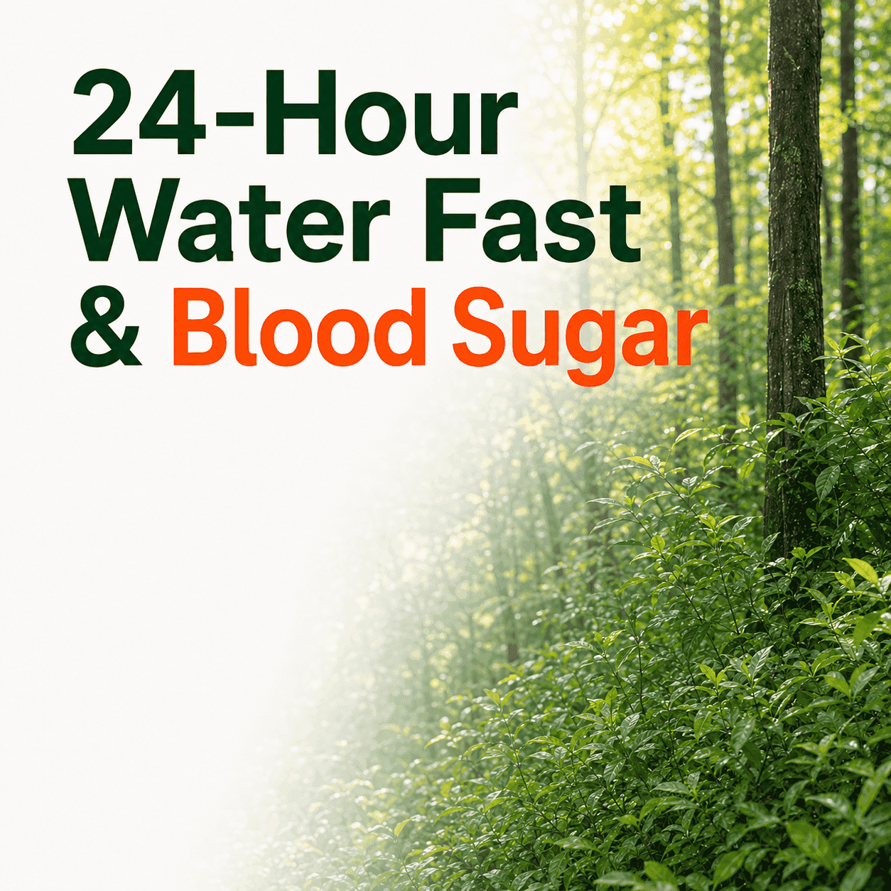 24 - Hour Water Fast and Blood Sugar — cover