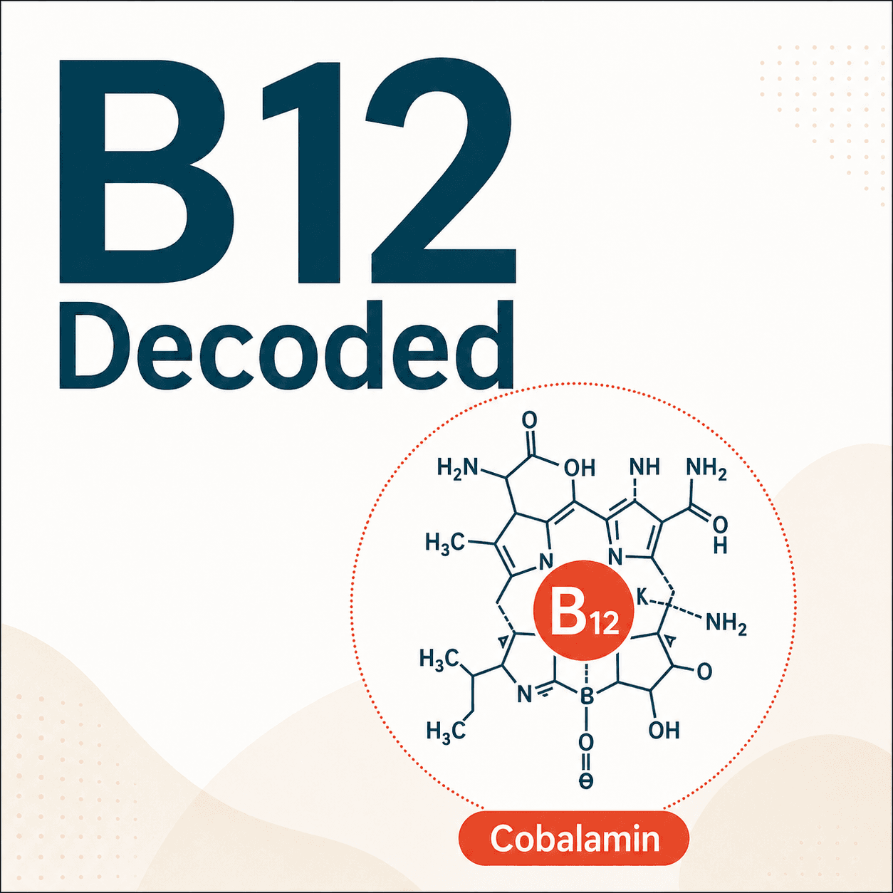 B12 Decoded — cover